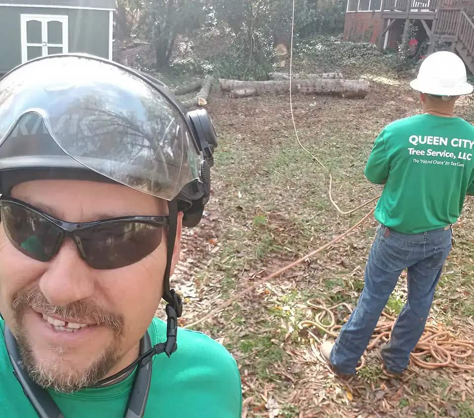 Queen City Tree Service crew on the job