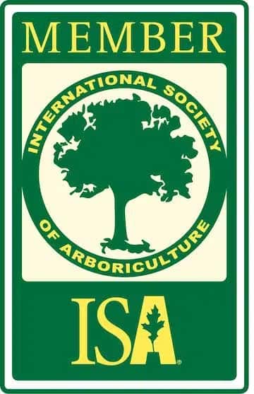 Professional tree care completed in Charlotte area
