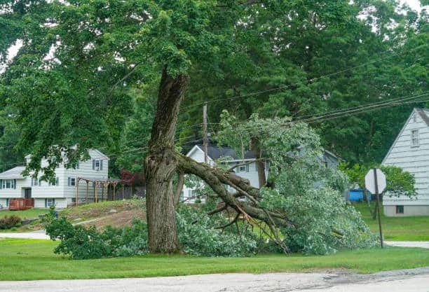 Emergency storm damage response